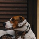 이지훈동물병원 이미지