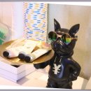 신기 노래연습장 이미지