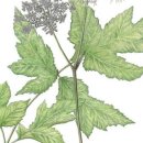 햇빛반찬 이미지