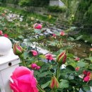 HR 리더스 인사이트 2025(리멤버 주관)다시보기 메모