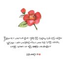 캘리그라피&꽃그림 이미지