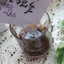 황금염소농장 이미지