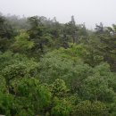 지리산상회
