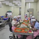 완주시니어클럽(두레유통) | 두레유통