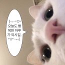 에이스홈 | 8월 일상.zip