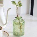 글라스 월드 이미지