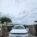 하일리 제주 이미지