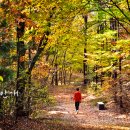 온릉 관광안내소 이미지