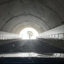 선진농협 고군지점 하나로마트 | 쏠비치 진도에서 2박 3일 (객실 뷰, 룸컨디션, 취사, 비품 등)