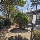 까미노 | [제주도 카페] 까미노 CAMINO :: 통창 뷰가 예쁘고 분위기 좋은 카페