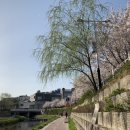 대광고등학교 정문 앞 이미지