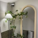 월평새뜸로 | 카페] 코코넛커피스무디가 맛있는 커피인터뷰 월평점 내돈내산 후기(감각적인 내부 사진 까지 담아왔다구✌️)