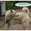 조댕이네