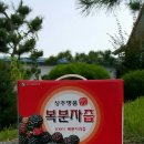 상주명품