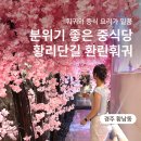 화린훠궈 | 경주 황리단길 맛집 화린훠궈, 소고기 세트와 어향가지튀김 메뉴 추천