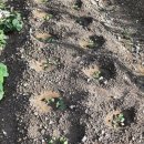 중석농장 이미지