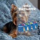 옥정온누리약국 이미지
