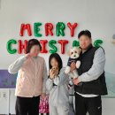 1936 | 의정부말티푸분양 멍냥스타 방문 후기 (1936)