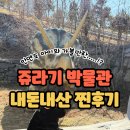 안면도쥬라기박물관 | &#34;엄마 저거 진짜 날아다녔어요!?&#34; 🦖 공룡 덕후 뚜아의 안면도 쥬라기 박물관 리얼 후기
