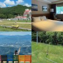 GS25함양용평점 | 평창 호텔 모나 용평리조트 드래곤밸리 마운틴코스터 발왕산케이블카 워터파크 등