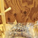 브레드창 이미지