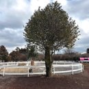 어울림목장 이미지