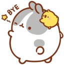 몰랑티타임