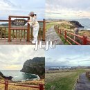 맑은운동화빨래방(성산점) | 제주도 성산일출봉 아침 트레킹 후기 (가격,일출명소)