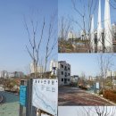 20151205 성환이화시장 다녀온이야기