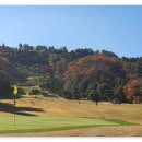 뉴웨이골프 이미지