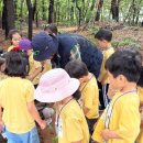 뉴한가람어린이집 이미지