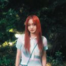 쏠 이미지