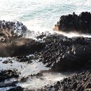 양남주상절리 이미지