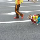 꼬까옷