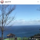 숲속의바다 바다동 이미지