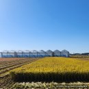 민수 농장 이미지