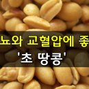 당뇨와 고혈압에 좋은 초 땅콩 이미지