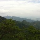 곡성-011 Daum카페