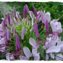 도천어린이집 이미지