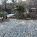 지지벨리마트