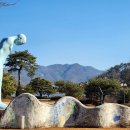 금산행정사사무소 이미지