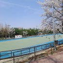 수지체육공원 풋살장 이미지