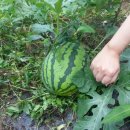 옛터농장 이미지