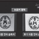 pet191고8966 | &lt;한국인과 영어&gt;, 강준만, 인물과 사상사, 2014