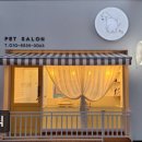 수원-1673 | (수원, 강아지, 고양이, 애견미용, 추천!) 뿌직 수원 뿌직, 맞춤 케어