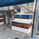 대게좋아홍게 | 고성 홍게 맛집 🦀아야진해변 대게좋아홍게 솔직 후기
