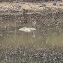 가는골농장 이미지