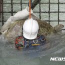 거북발전소 이미지