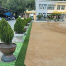 풍각초등학교 이미지