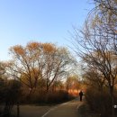 올림픽로613 이미지